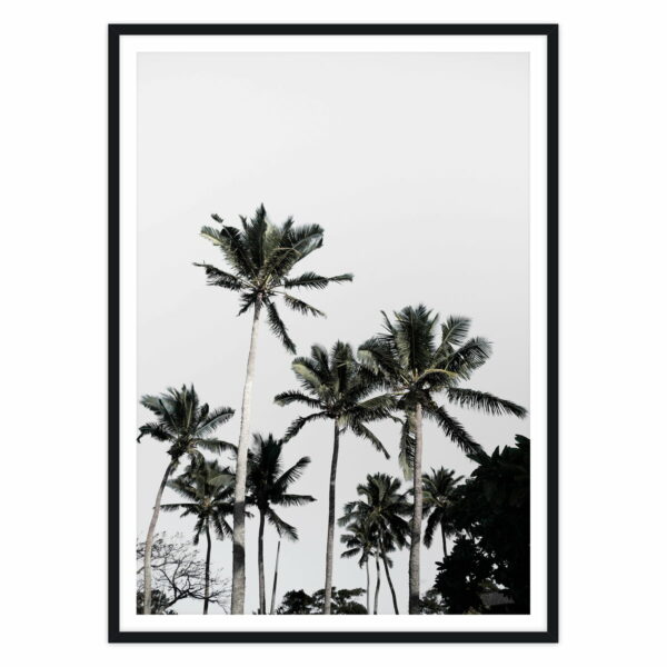 artvoll - Palm Tree 03 Poster mit Rahmen