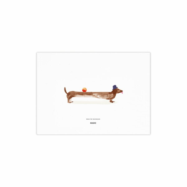 Paper Collective - Doug the Dachshund