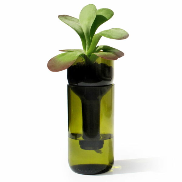 side by side - Self Watering Bottle Blumentopf